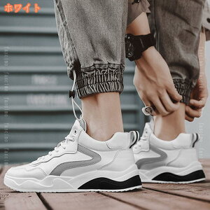 1000~OFFN[| Xm[V[Y Y Xm[u[c hC [gu[c g ےg N EB^[u[c C ~p h y ~ hV[Y ȌC ۉ JWA A