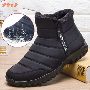 500~OFFN[| Xm[u[c Y Wbp[ V[g  hC N ~C ~pu[c y hu[c h V[gu[c JWA C ȌC ʋΒʊw ϋv Ή E