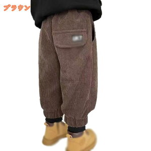 500~OFFN[| ȃpc LbY H~ _Epc N Opc qpc h _E pc g j̎q ̎q EFXgS WjA ʉʊw XL[ W[ AEg