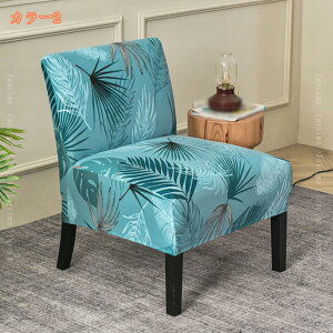 500~OFFN[| `FAJo[ ֎qJo[ 2 Lkf tJo[ Xgb` _CjO`FAJo[ _炩 CXJo[ w O\ 􂦂 ƒEjEEze