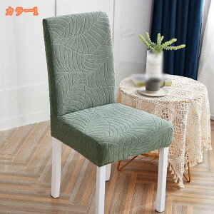 500~OFFN[| 2Zbg ֎qJo[ 傫 `FAJo[ w  k n _CjO Xgb` tBbg Lk 􂦂 _炩 h~ \  tJo[ _C