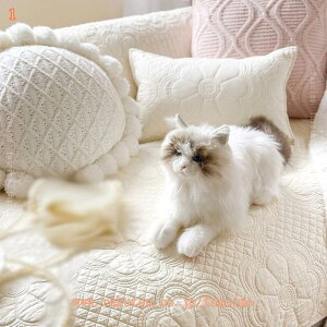 777~OFFN[| \t@[Jo[ k 3l| 2l| _ F  op }bg O}bg I| h~ LYB }`Jo[ ԗp Lp LYh~ ې OK o}