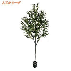 lHϗtA Ύ ^ tFCNO[ lH 킢 Ԏd؂ ډB CeA rO  m ItBX ܂ i` lHA A gsJ st A 