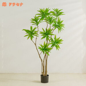 tFCNO[ lHϗtA lHϗt   ItBX A A lHϗtA  CeA  ItBX  X   Vz zj tFCNO[ 