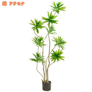 300~OFFN[| ^ tFCNO[ lHϗtA k i` 킢 C~e[VO[ ACr[ G A[g   CeA a m ItBX ܂ i`