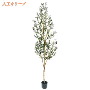 tFCNO[ lHϗtA lHϗt   ItBX A A lHϗtA  CeA  ItBX  X   Vz zj tFCNO[ 