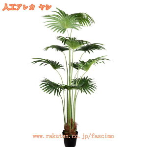 tFCNO[ lHϗtA { i` CeA ^ A X GgX c ItBX E  ze [ j JXj JƏj t tF