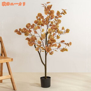 1000~OFFN[| lHϗtA k { ^ V~[Vc[O  lHAze lHϗtA tFCNO[ lHϗtA { ȒPb炸 tF