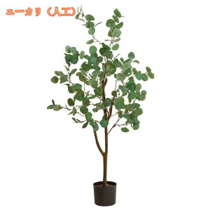 1000~OFFN[| lHϗtA k { ^ V~[Vc[O  lHAze lHϗtA tFCNO[ lHϗtA { ȒPb炸 tF