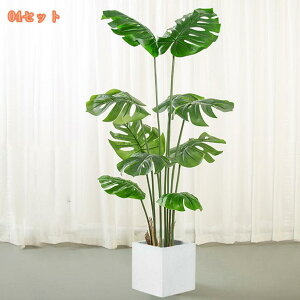 lHϗtA ^ tFCNO[ Ύ k ^ϗtA A A t y tFCNO[ CeA  j  lHA  lHϗtA tFCNO[