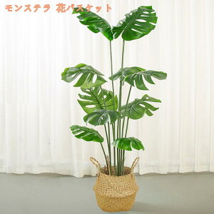 lHϗtA ^ lH tFCNO[ CeA  OtFCNA  lHϗtA    rO[ Q ItBX  傫 ϗt tFCNO[ 