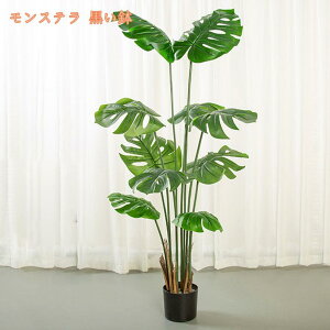 lHϗtA ^ lH tFCNO[ CeA  OtFCNA  lHϗtA    rO[ Q ItBX  傫 ϗt tFCNO[ 