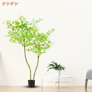 lHϗtA k tFCNO[ { ^ V~[Vc[O  lHAze lHϗtA tFCNO[ lHϗtA { ȒPb炸 ^