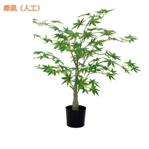 1000~OFFN[| ^ lHϗtA tFCNO[ k i` CeA tFCNA tFCNO[ 邭u₩ lHϗtA vX`bN p A 邭u₩ 