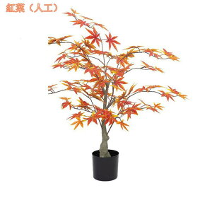 300~OFFN[| lHϗtA ~W  lH tFCNO[  ^ tFCNO[ CeAO[ ^ Vz zj  X ItBX Ƃ̌ rO