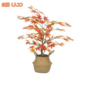 lHϗtA ^ tFCNO[ Ύ k ^ϗtA A A t y tFCNO[ CeA  j  lHA  lHϗtA tFCNO[