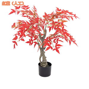 Ύ lHϗtA { 3D̗t ډB ϗtA ȒPb炸 sv tFCNO[ A  t A ܂Ŗ{ IV ZX̂ 킢 lH