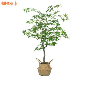 lHϗtA CeA tFCNO[ ^ lHϗtA tFCNO[  tBJX Sn悭 rO Lb`  L _CjO Q xbh[ t Aؔ 