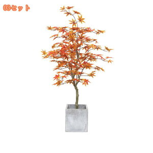 lHϗtA CeA tFCNO[ ^ lHϗtA tFCNO[  tBJX Sn悭 rO Lb`  L _CjO Q xbh[ t Aؔ 