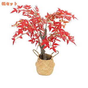 lHϗtA tFCNO[ ^ A  t  CeA 傫 VR A[g ͂Ȃ sv ȒP  j v[g Mtg 蕨 _ ډB 