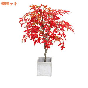 lHϗtA tFCNO[ ^ A  t  CeA 傫 VR A[g ͂Ȃ sv ȒP  j v[g Mtg 蕨 _ ډB 