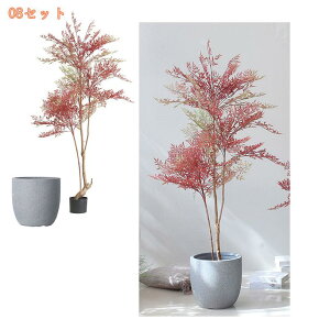 2000~OFFN[| Ύ lHϗtA { 3D̗t ډB ϗtA ȒPb炸 sv tFCNO[ A  t A ܂Ŗ{ IV ZX̂