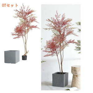 Ύ lHϗtA { 3D̗t ډB ϗtA ȒPb炸 sv tFCNO[ A  t A ܂Ŗ{ IV ZX̂ 킢 lH