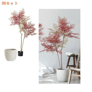 2000~OFFN[| Ύ lHϗtA { 3D̗t ډB ϗtA ȒPb炸 sv tFCNO[ A  t A ܂Ŗ{ IV ZX̂