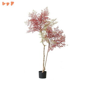 lHϗtA ^ tFCNO[ Ύ k ^ϗtA A A t y tFCNO[ CeA  j  lHA  lHϗtA tFCNO[