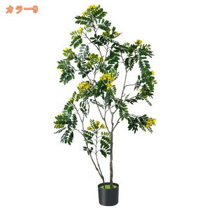 lHϗtA ^ lH tFCNO[ CeA  OtFCNA  lHϗtA   rO[ Q ItBX  傫 ϗt tFCNO[ I 