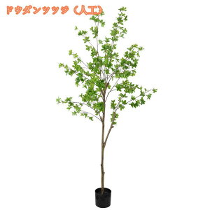 2000~OFFN[| lHϗtA tFCNO[ ^ϗtA A A  t y tFCNO[ CeA  j bJc[ hZi lHϗtA tFCN