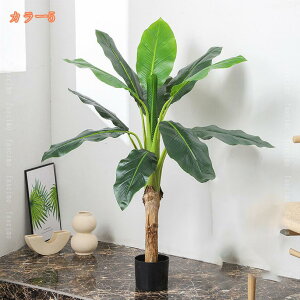 lHϗtA Ύ tFCNO[ ^ ډB lH CeA  ͂Ȃ 傫 A q Q  O rO ItBX x_  ze i` tF