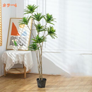 lHϗtA Ύ tFCNO[ ^ ډB lH CeA  ͂Ȃ 傫 A q Q  O rO ItBX x_  ze i` tF