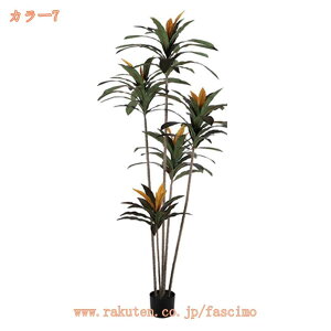 2000~OFFN[| lHϗtA tFCNO[ CeA A k A  rO ItBX  傫 A A rO[ K[f V~[VA ~ 