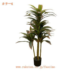 lHϗtA tFCNO[ CeA A k A  rO ItBX  傫 A A rO[ K[f V~[VA ~ U̖  Vz