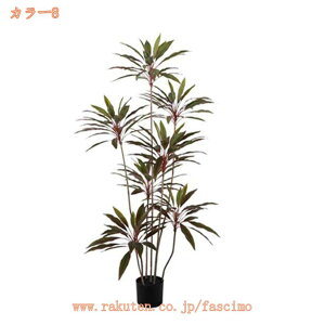 lHϗtA tFCNO[ CeA A k A  rO ItBX  傫 A A rO[ K[f V~[VA ~ U̖  Vz