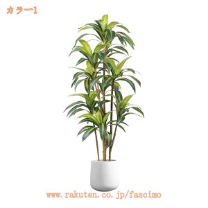 lHϗtA tFCNO[ CeA A k A  rO ItBX  傫 A A rO[ K[f V~[VA ~ U̖  Vz