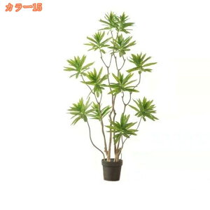 2000~OFFN[| tFCNO[ lHϗtA ^  ItBX A A lHϗtA  CeA  ItBX  X  Vz zj { tF