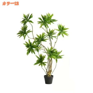 2000~OFFN[| lHϗtA A A tFCNO[ CeA  rO ItBX  傫 A A rO[ K[f V~[VA ~ U