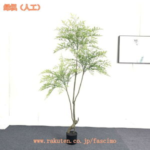 1000~OFFN[| tFCNO[ ^ lHϗtA tFCNϗtA ^ A CeA  ItBX _ p lHϗtA sv bsv Vzj z