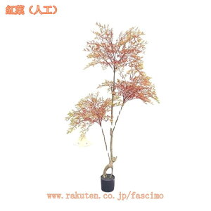 2000~OFFN[| lHϗtA tFCNO[ ^ϗtA A A  t y tFCNO[ CeA  j bJc[ hZi lHϗtA tFCN