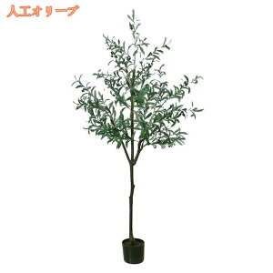 lHϗtA Ύ tFCNO[ ^ Ηt A ډB lH CeA  ͂Ȃ 傫 A q Q  O rO ItBX x_  ze i`