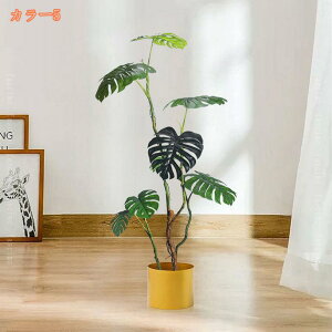 lHϗtA ^ lH tFCNO[ CeA  OtFCNA  lHϗtA   rO[ Q ItBX  傫 ϗt tFCNO[ I 