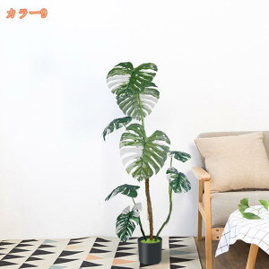 1000~OFFN[| tFCNO[ lHϗtA ^  ItBX A A lHϗtA  CeA  ItBX  X  Vz zj { tF