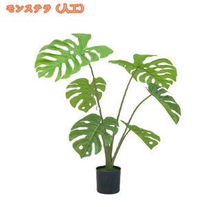 lHϗtA A ^ A tFCNO[ lHA w̍A lHV̖ lHMѐA p CeA  ItBX tFCNA lH̖ rO[p 