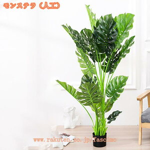 lHϗtA A A tFCNO[ CeA  rO ItBX  傫 A A rO[ K[f V~[VA ~ U̖  Vzj 