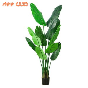 lHϗtA Ύ tFCNO[ ^ ډB lH CeA  ͂Ȃ 傫 A q Q  O rO ItBX x_  ze i` tF