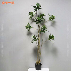 1000~OFFN[| ^ lHϗtA tFCNO[ k i` CeAO[ tFCNA tFCNO[ 邭u₩ lHϗtA vX`bN p A 