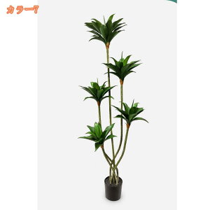 1000~OFFN[| tFCNO[ lHϗtA ^  ItBX A A lHϗtA  CeA  ItBX  X  Vz zj { tF