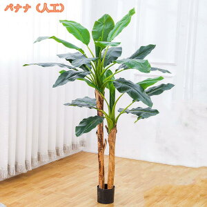 lHϗtA tFCNO[ ^ A CeA tFCNA lHϗtA tFCNO[ CeA  sv ͂Ȃ  O ItBX gsJA lH